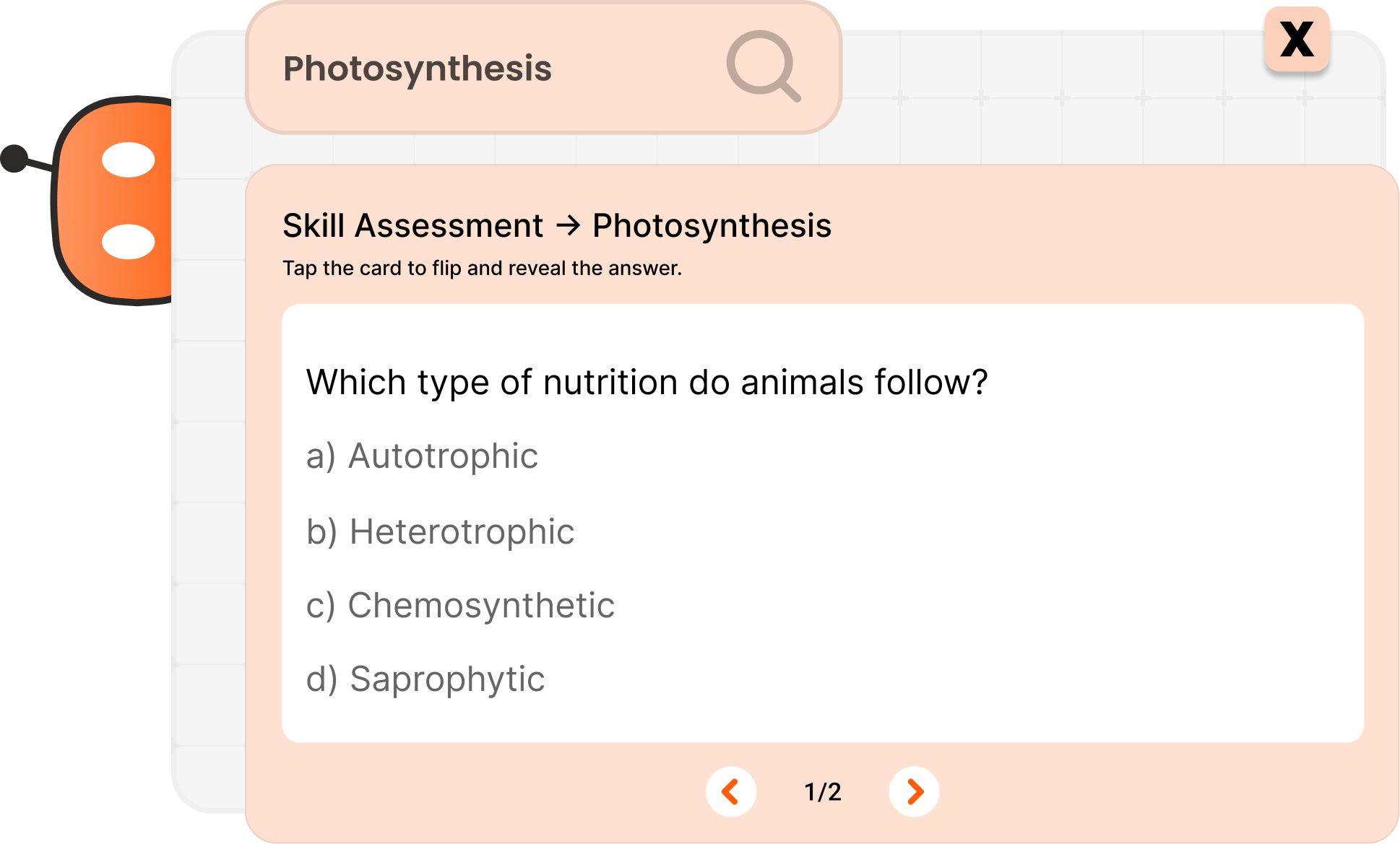 AI Quiz Creation